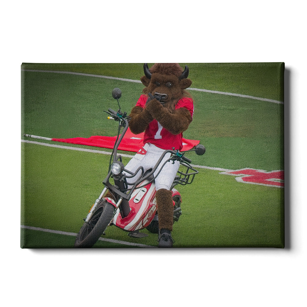 Indiana Hoosiers - Hoosier the Bison Easy Rider - College Wall Art #Canvas