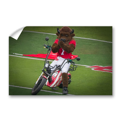 Indiana Hoosiers - Hoosier the Bison Easy Rider - College Wall Art #Wall Decal