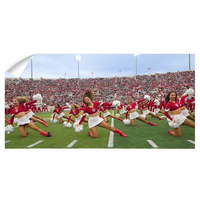Indiana Hoosiers - Indiana Red Steppers - College Wall Art #Wall Decal