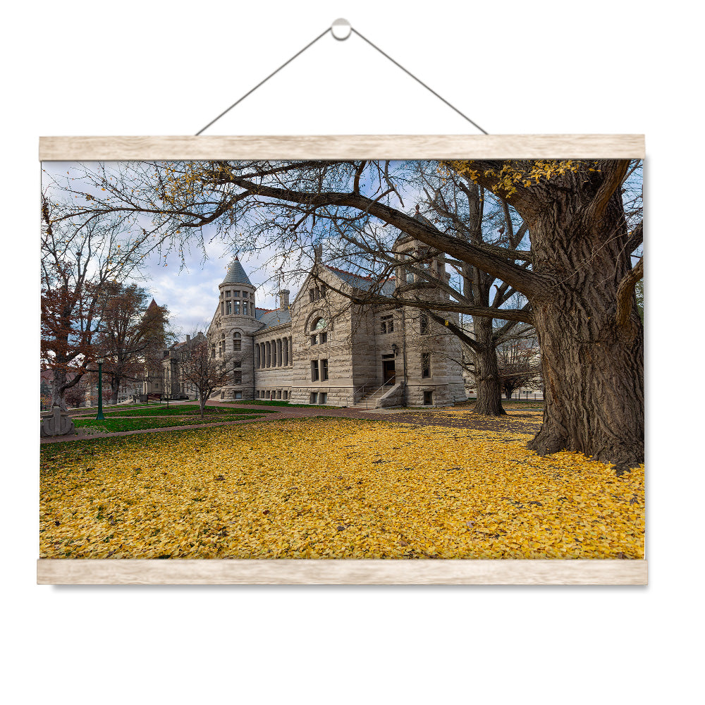 Indiana Hoosiers - Fall Setting - College Wall Art #Canvas 