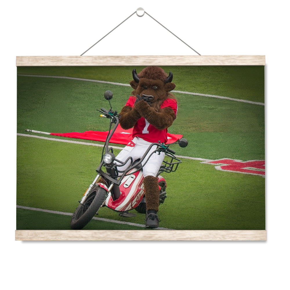 Indiana Hoosiers - Hoosier the Bison Easy Rider - College Wall Art #Canvas