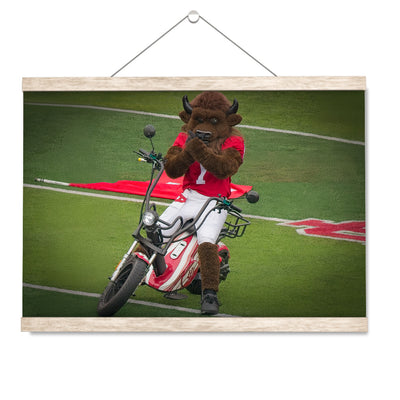 Indiana Hoosiers - Hoosier the Bison Easy Rider - College Wall Art #Hanging Canvas