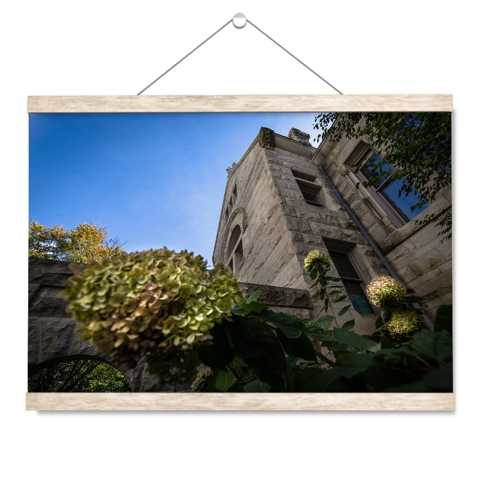 Indiana Hoosiers - Looking Up - College Wall Art #Canvas