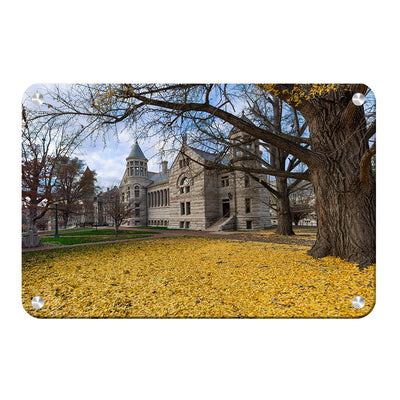 Indiana Hoosiers - Fall Setting - College Wall Art #Metal