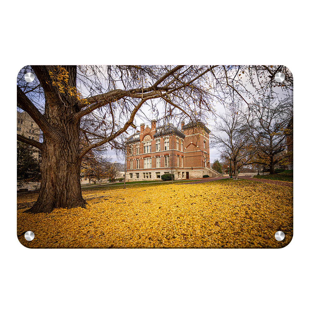 Indiana Hoosiers - Owen Hall - College Wall Art #Canvas