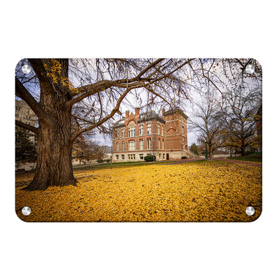 Indiana Hoosiers - Owen Hall - College Wall Art #Metal