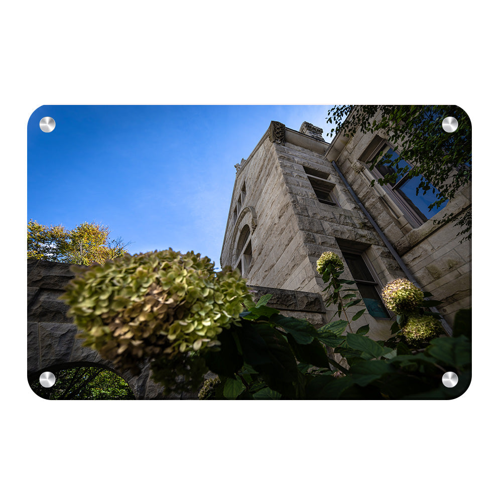 Indiana Hoosiers - Looking Up - College Wall Art #Canvas