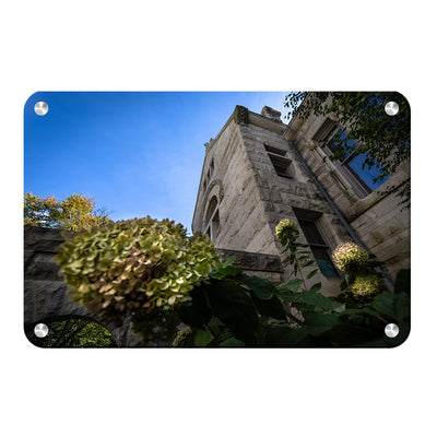 Indiana Hoosiers - Looking Up - College Wall Art #Metal
