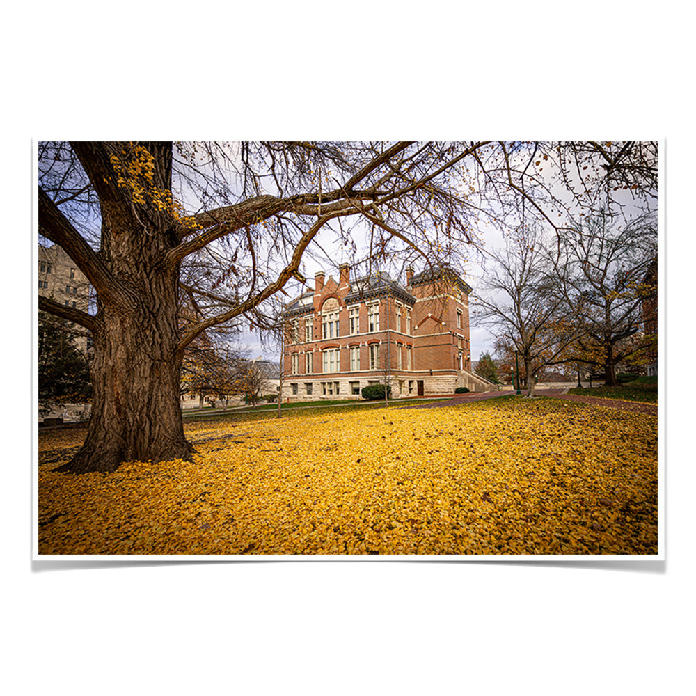 Indiana Hoosiers - Owen Hall - College Wall Art #Canvas