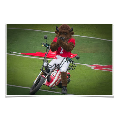 Indiana Hoosiers - Hoosier the Bison Easy Rider - College Wall Art #Photo Poster