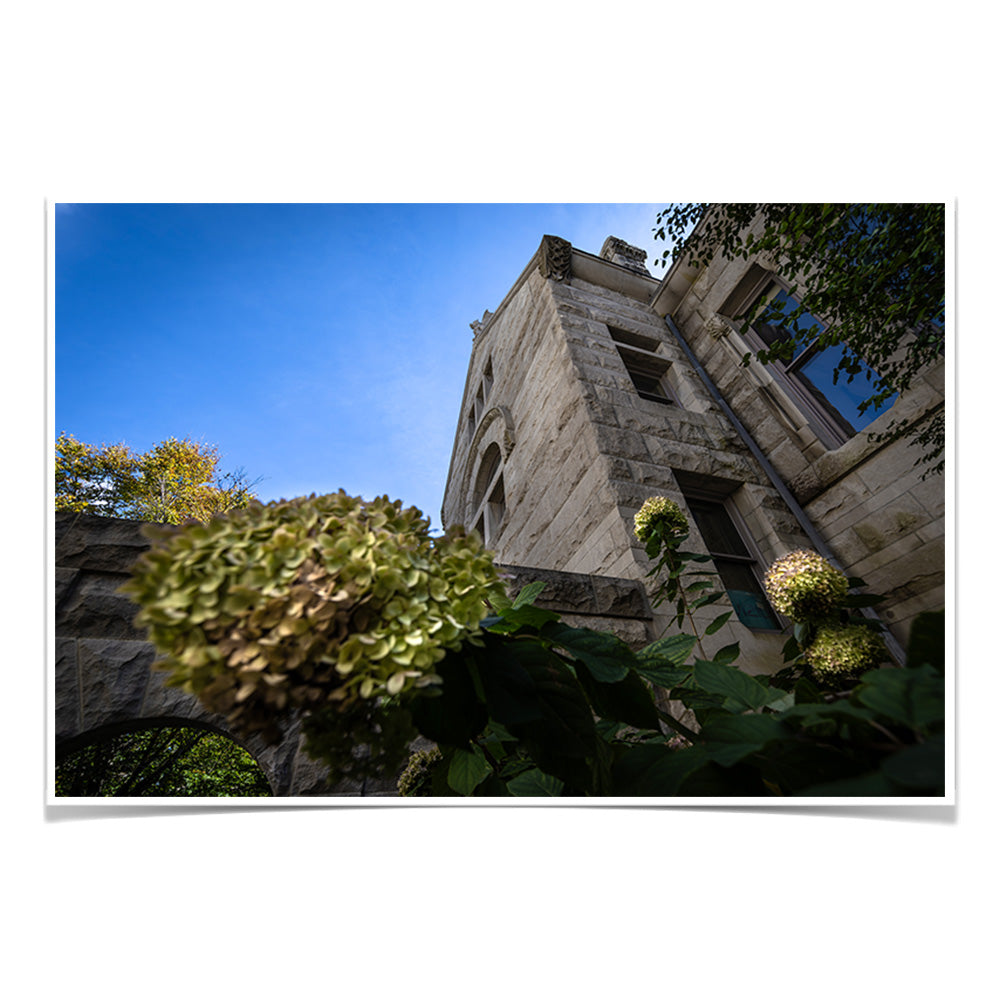 Indiana Hoosiers - Looking Up - College Wall Art #Canvas