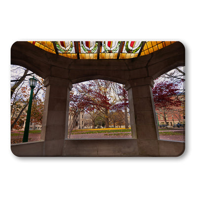 Indiana Hoosiers - Indiana Autumn Framed - College Wall Art #PVC