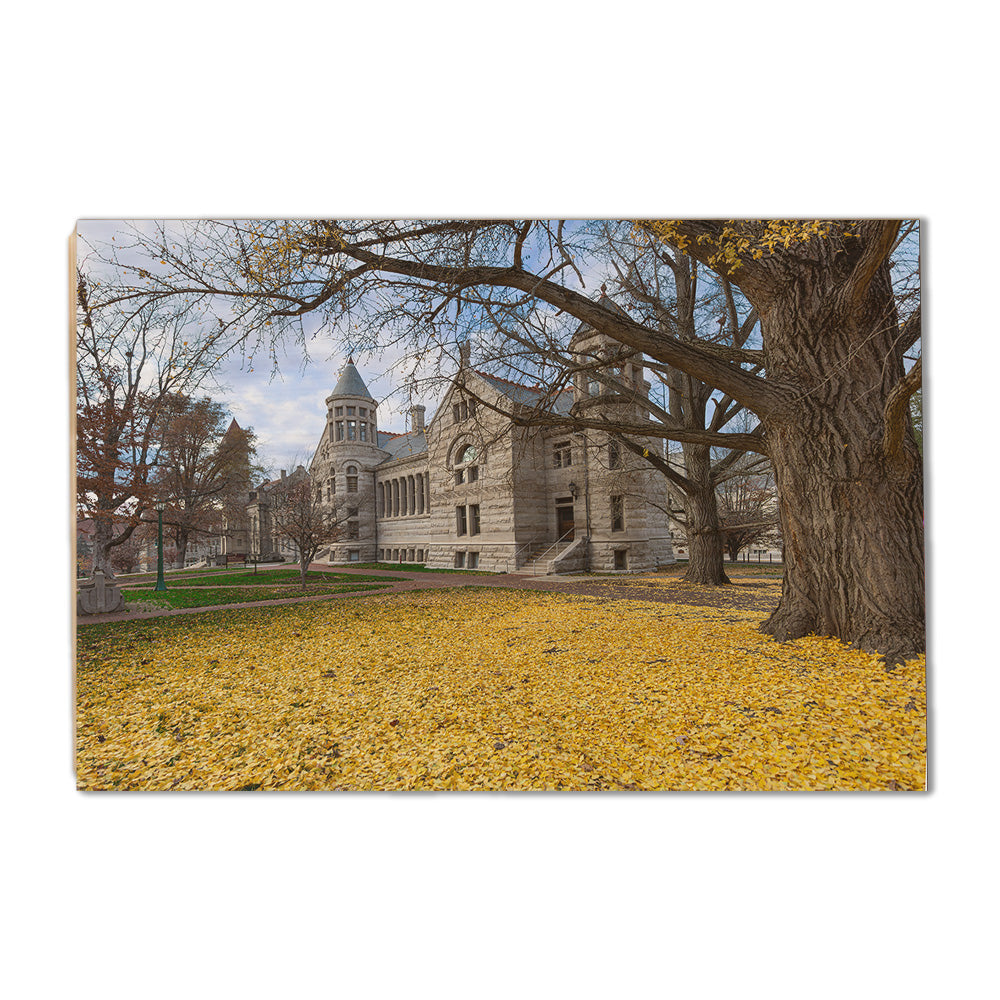 Indiana Hoosiers - Fall Setting - College Wall Art #Canvas 