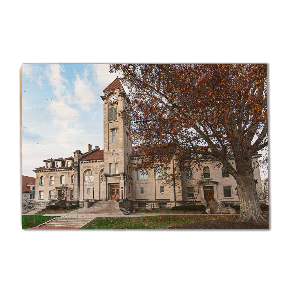 Indiana Hoosiers - Student Building - College Wall Art #Canvas