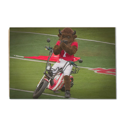 Indiana Hoosiers - Hoosier the Bison Easy Rider - College Wall Art #Wood