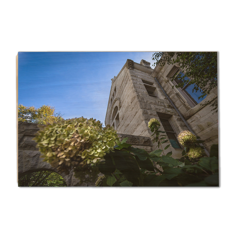 Indiana Hoosiers - Looking Up - College Wall Art #Canvas