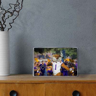 LSU Tigers - Tiger Walk