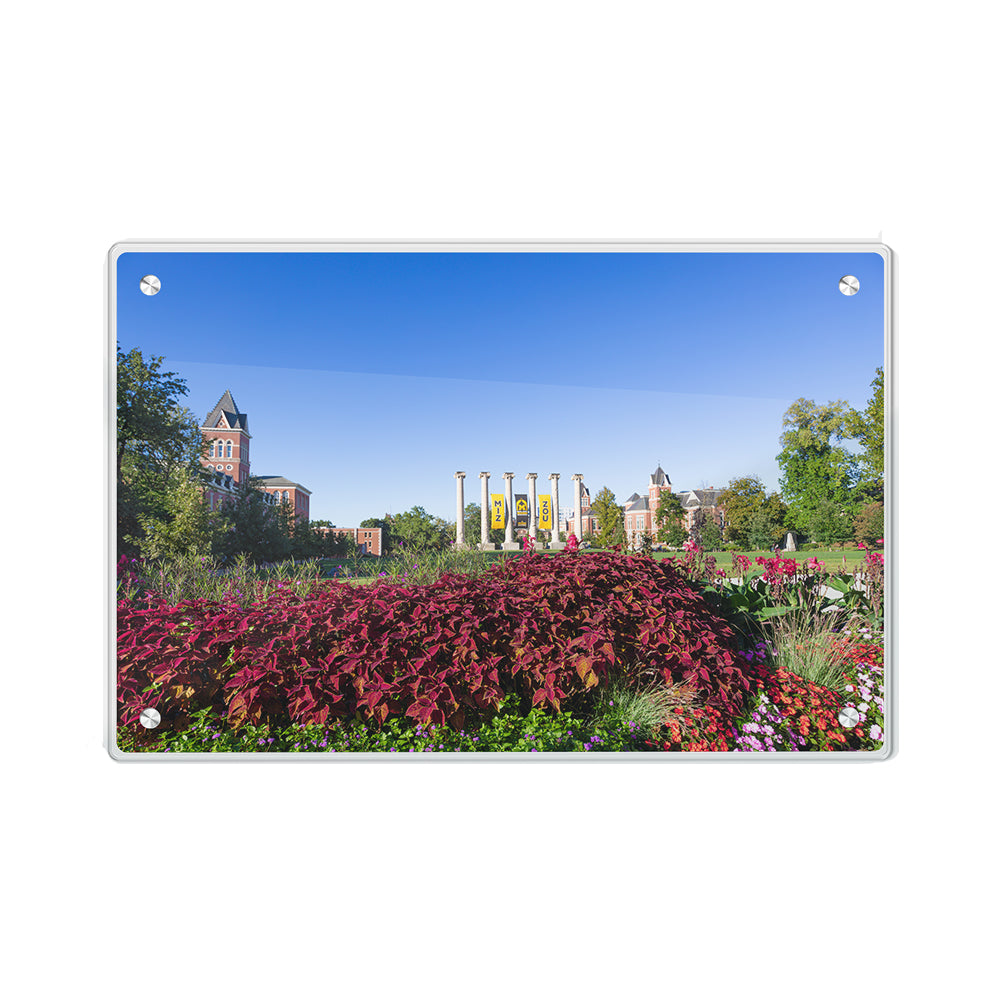 Missouri Tigers - Campus Beauty - College Wall Art #Canvas