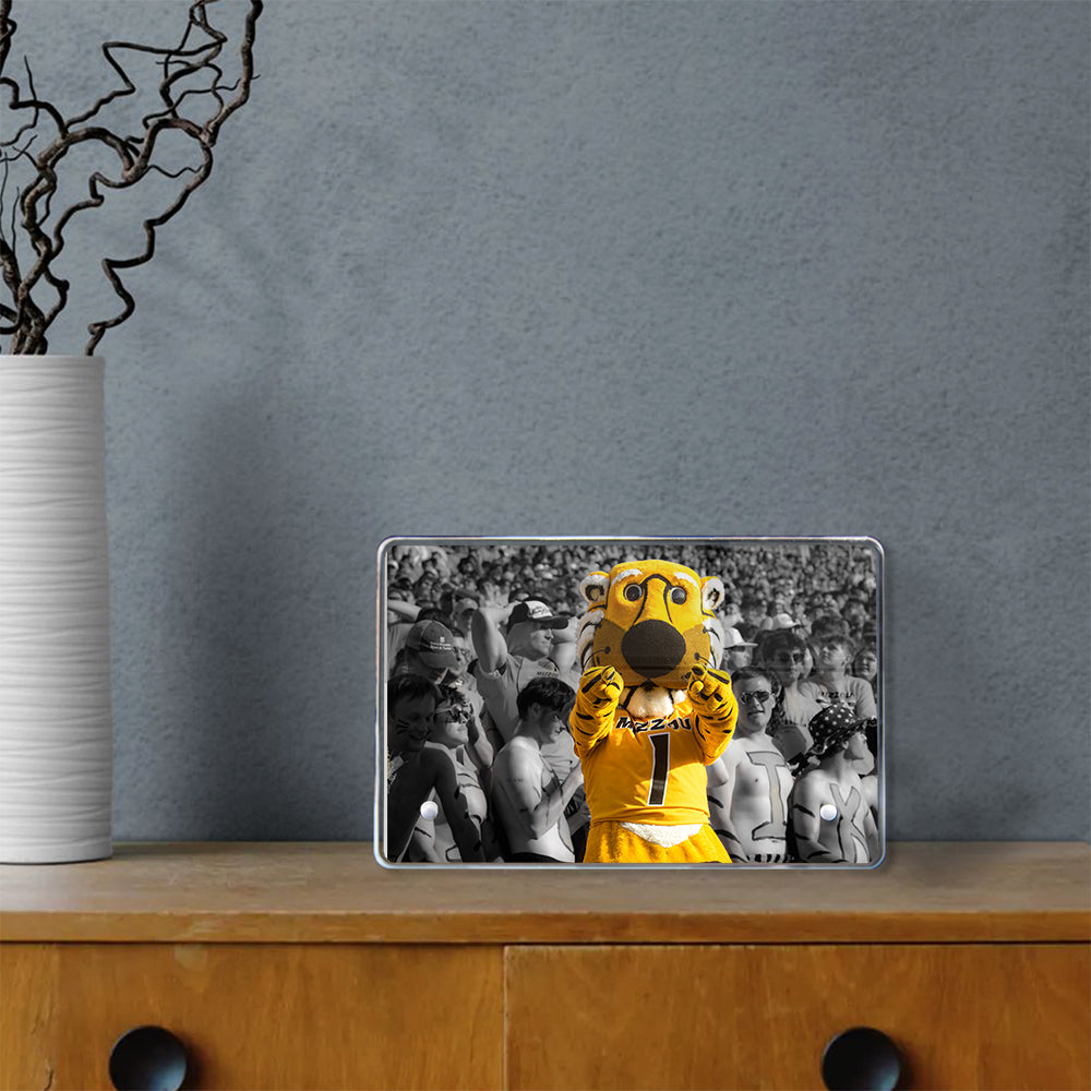 Missouri Tigers - Truman - College Wall Art #Canvas