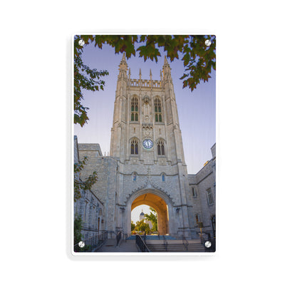 Missouri Tigers - Memorial Tower - College Wall Art #Metal