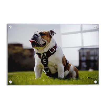 Mississippi State Bulldogs - Bully XXII Day - College Wall Art #Acrylic