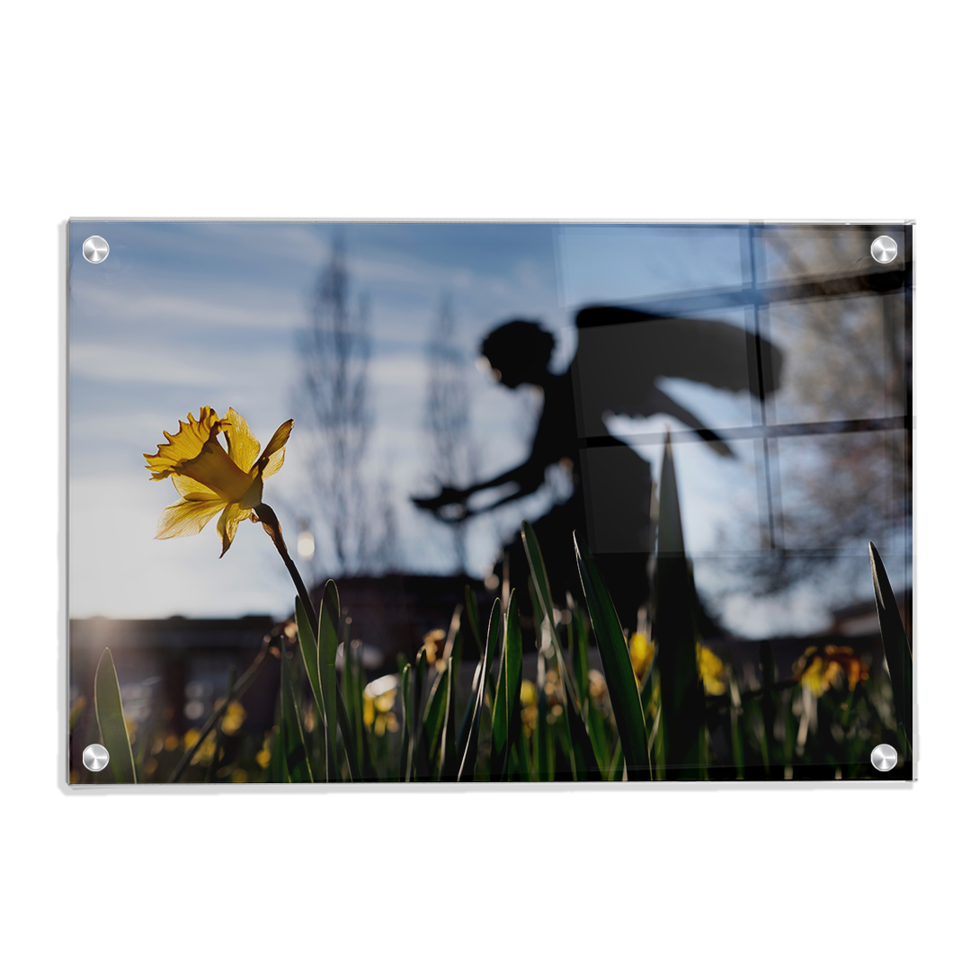 Mississippi State Bulldogs - Chapel Angel Daffodil - College Wall Art #Canvas