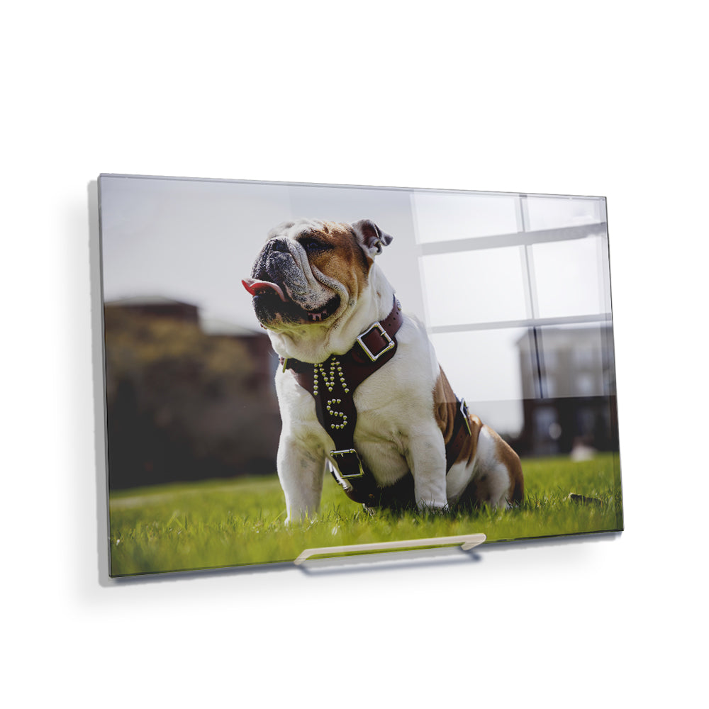 Mississippi State Bulldogs - Bully XXII Day - College Wall Art #Canvas