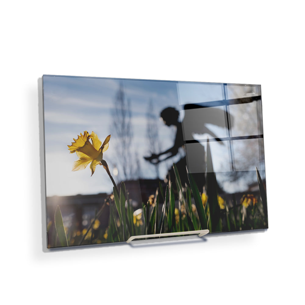 Mississippi State Bulldogs - Chapel Angel Daffodil - College Wall Art #Canvas