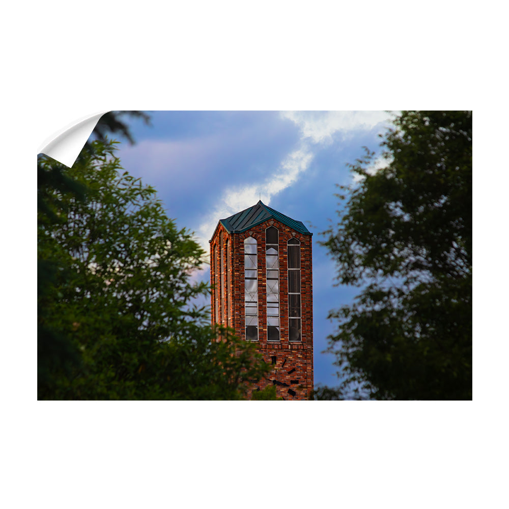 Mississippi State Bulldogs - We Ring True - College Wall Art #Canvas