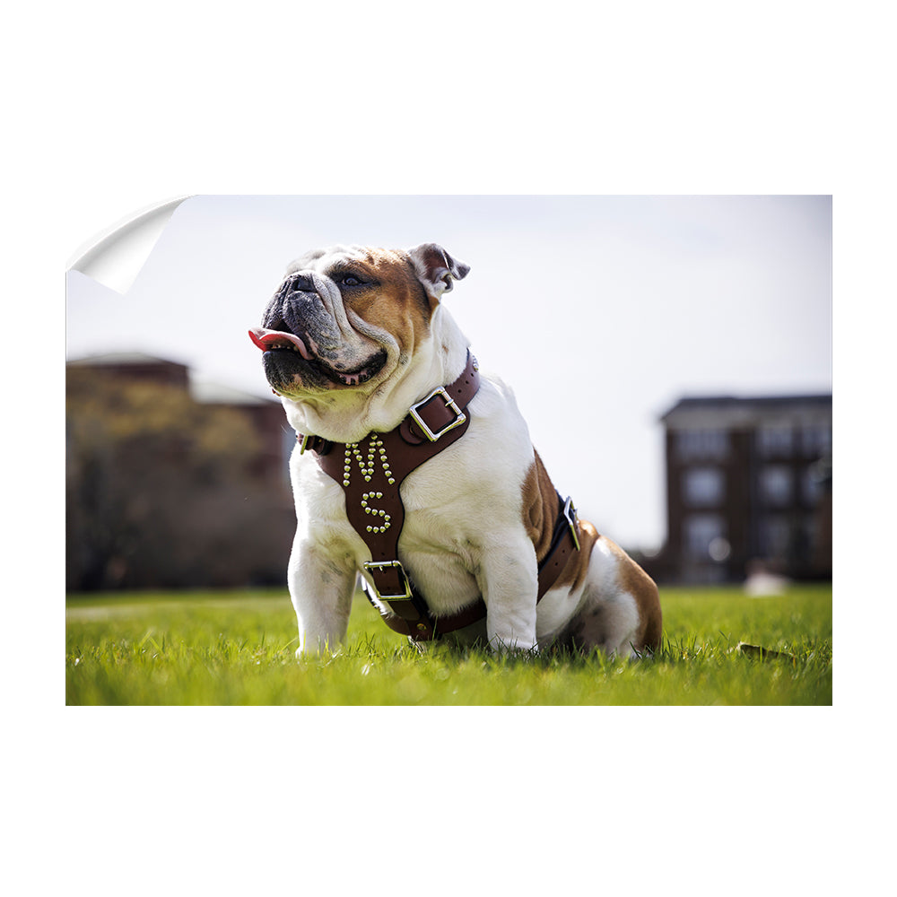 Mississippi State Bulldogs - Bully XXII Day - College Wall Art #Canvas