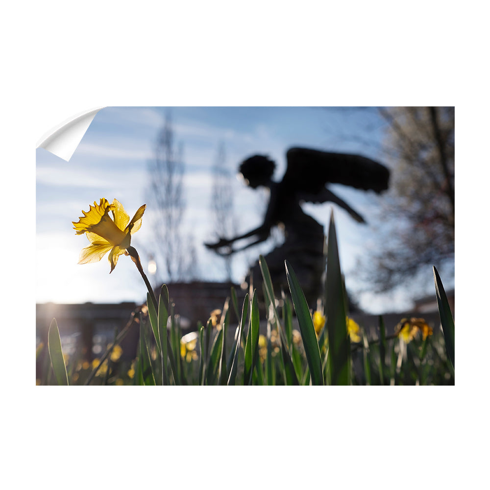 Mississippi State Bulldogs - Chapel Angel Daffodil - College Wall Art #Canvas