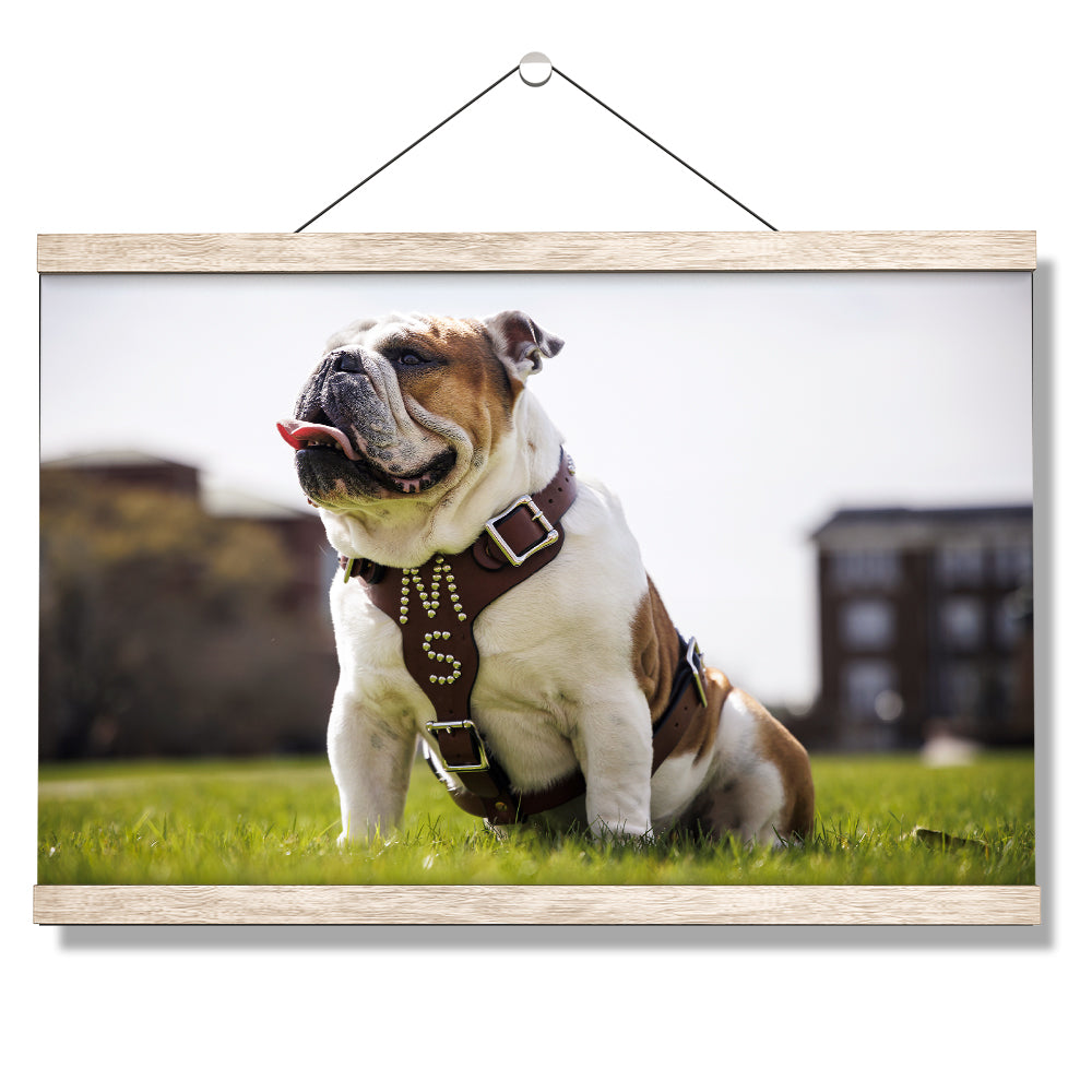 Mississippi State Bulldogs - Bully XXII Day - College Wall Art #Canvas