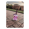 Mississippi State Bulldogs - Hail State Cowbell - College Wall Art #Metal