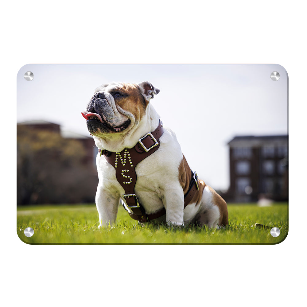Mississippi State Bulldogs - Bully XXII Day - College Wall Art #Canvas