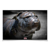 Mississippi State Bulldogs - M State Bulldog - College Wall Art #Poster