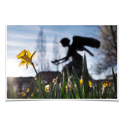 Mississippi State Bulldogs - Chapel Angel Daffodil - College Wall Art #Poster