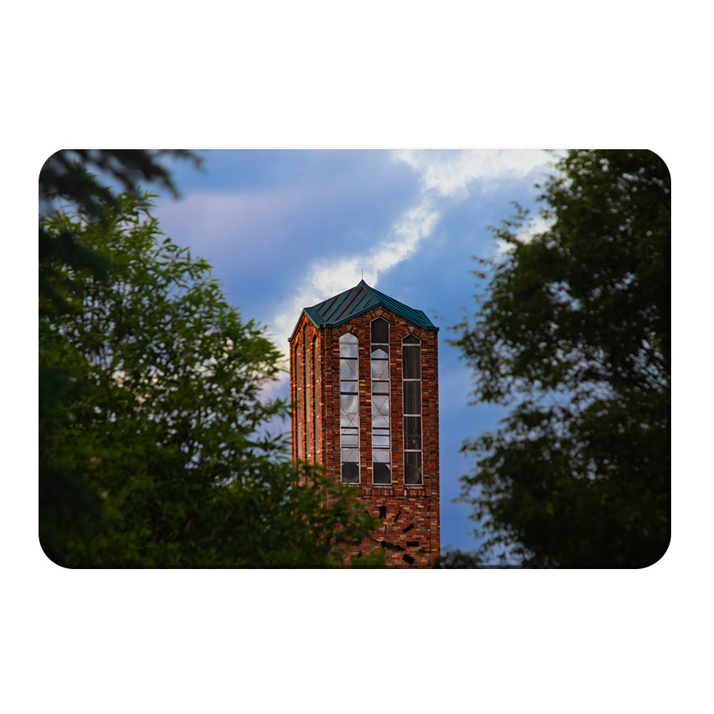 Mississippi State Bulldogs - We Ring True - College Wall Art #Canvas