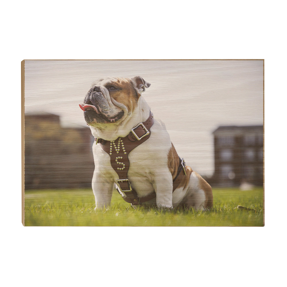 Mississippi State Bulldogs - Bully XXII Day - College Wall Art #Canvas