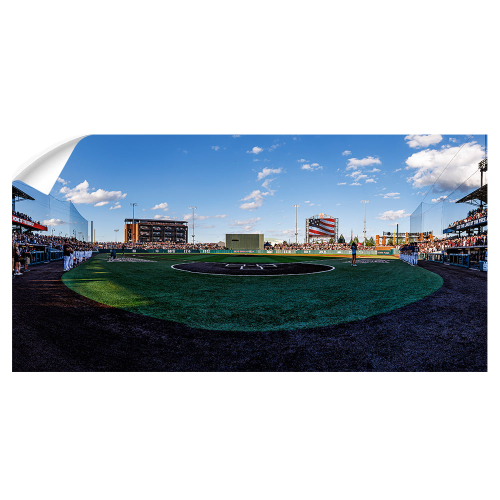 Mississippi State Bulldogs - Baseball Stars & Stripes Panoramic - College Wall Art #Canvas