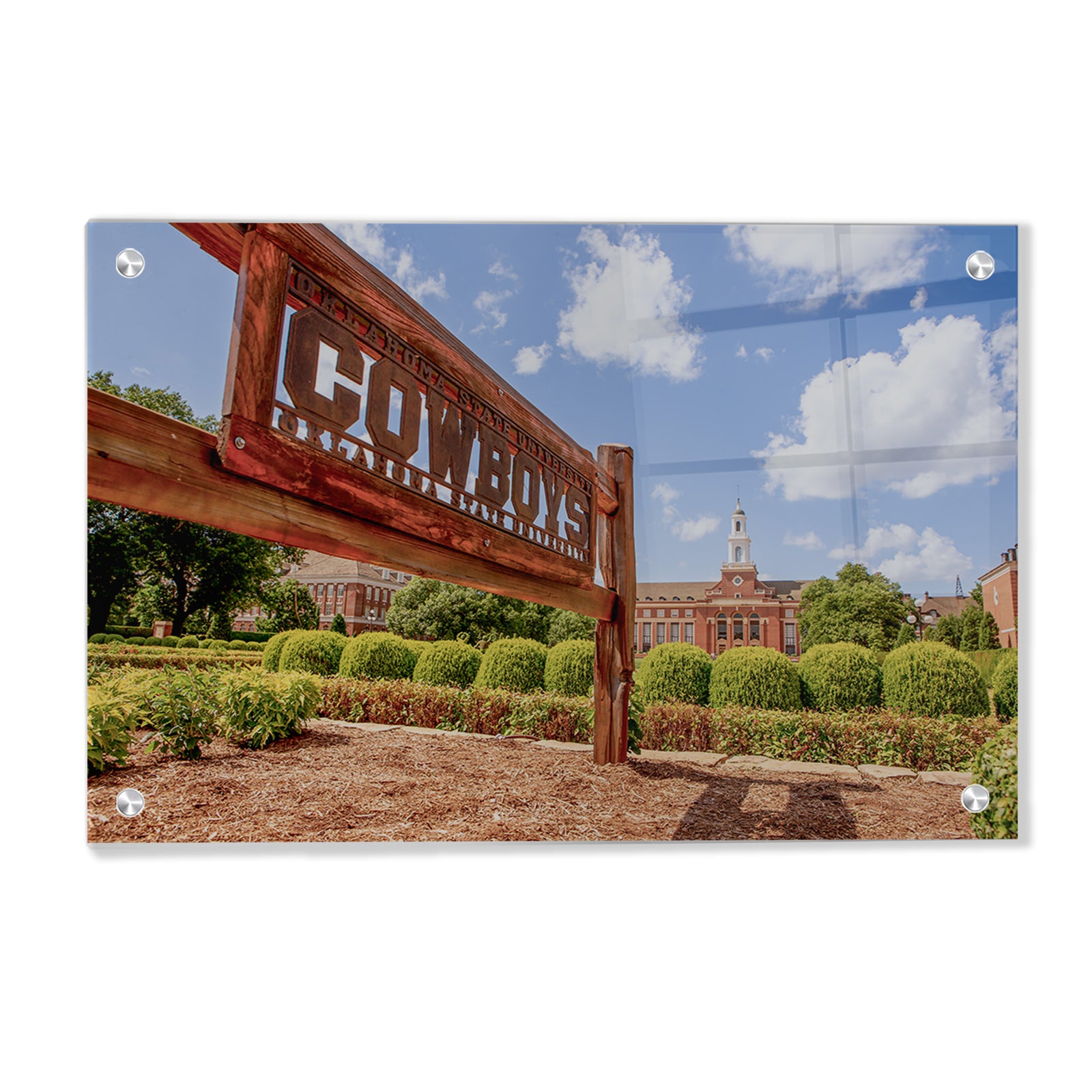Oklahoma State Cowboys - Cowboys Oklahoma State - College Wall Art #Canvas