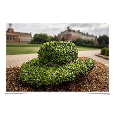 Oklahoma State Cowboys - Hat - College Wall Art #Poster