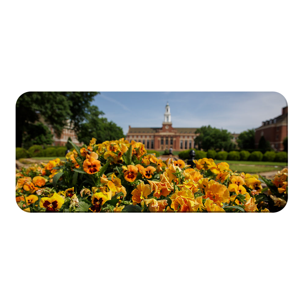 Oklahoma State Cowboys - Spring Flowers - College Wall Art #Canvas