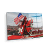 Rutgers Scarlet Knights - The Scarlet Knight - College Wall Art #Acrylic Mini