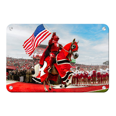 Rutgers Scarlet Knights - The Scarlet Knight - College Wall Art #Metal