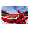 Rutgers Scarlet Knights - Scarlet Knight End Zone - College Wall Art #Metal