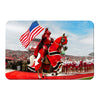 Rutgers Scarlet Knights - The Scarlet Knight - College Wall Art #PVC