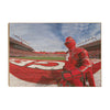 Rutgers Scarlet Knights - Scarlet Knight End Zone - College Wall Art #Wood