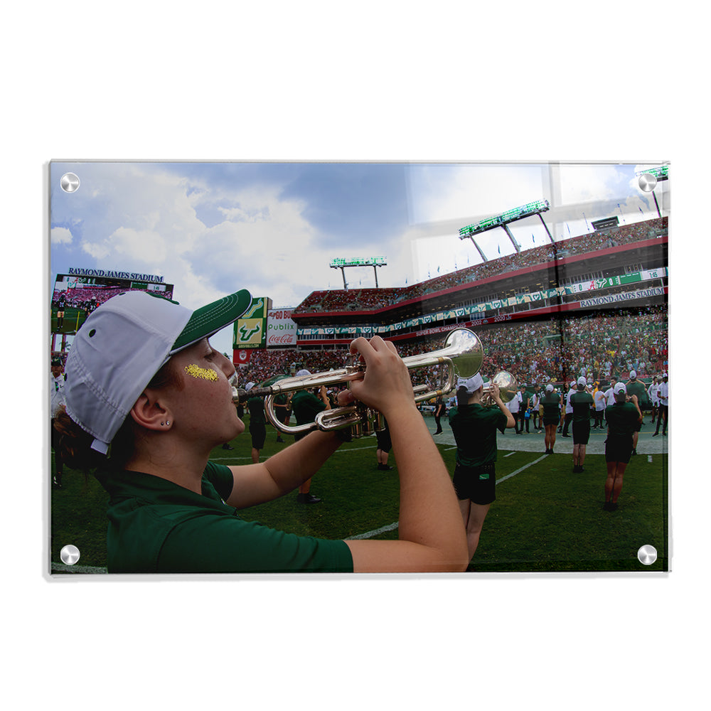 USF Bulls - Herd of Thunder - College Wall Art #Canvas