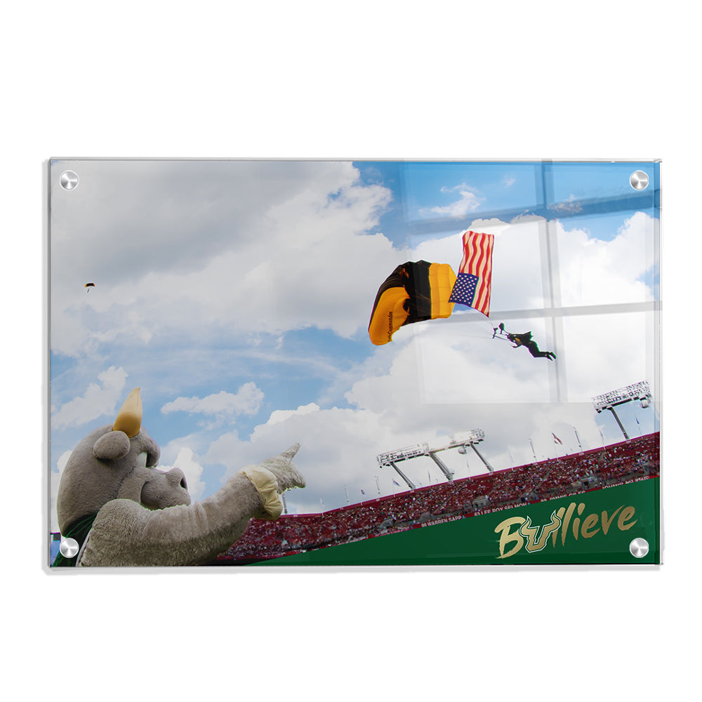 USF Bulls - Sky Diver - College Wall Art #Canvas