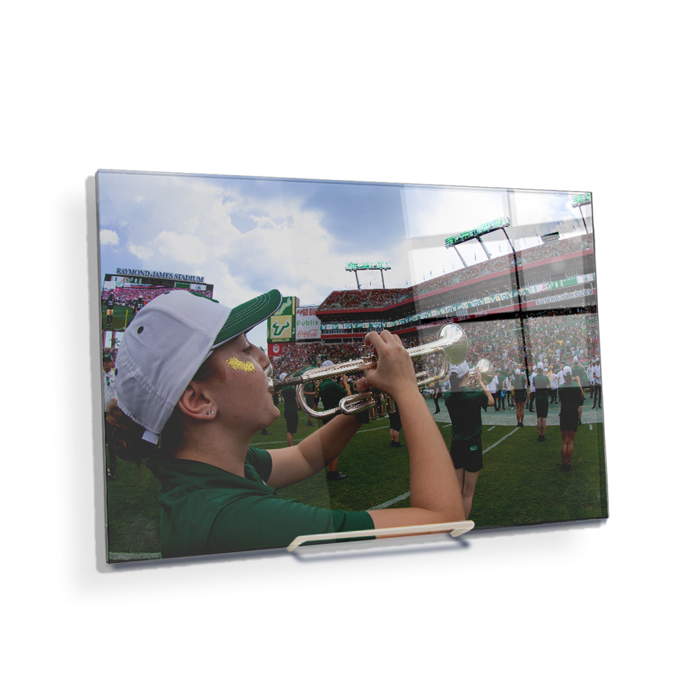 USF Bulls - Herd of Thunder - College Wall Art #Canvas